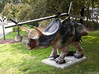 Torn Torosaurus